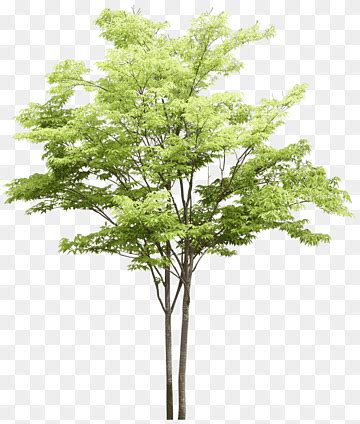 pngwing|pngtree free download.